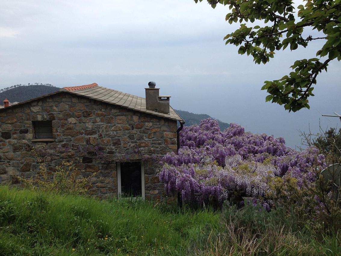 Cottage La Torre Del Pittore Bonassola Dış mekan fotoğraf