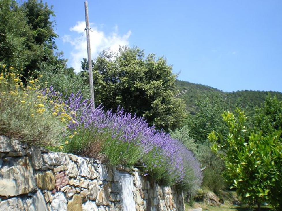 Cottage La Torre Del Pittore Bonassola Dış mekan fotoğraf
