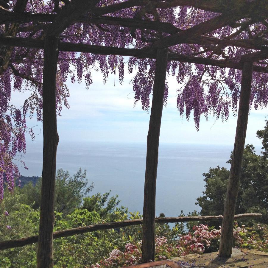 Cottage La Torre Del Pittore Bonassola Dış mekan fotoğraf