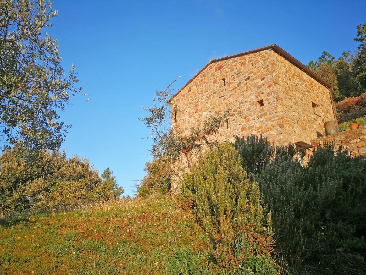Cottage La Torre Del Pittore Bonassola Dış mekan fotoğraf