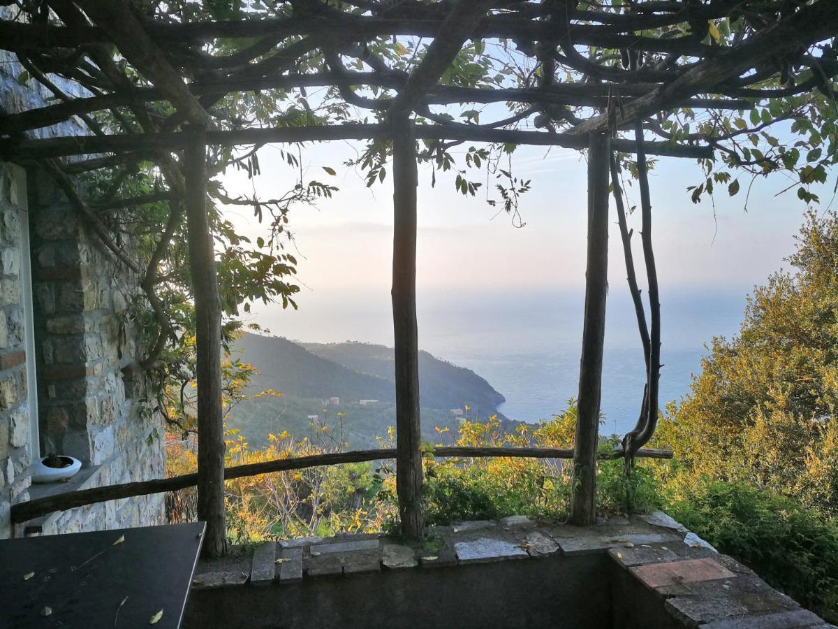 Cottage La Torre Del Pittore Bonassola Dış mekan fotoğraf