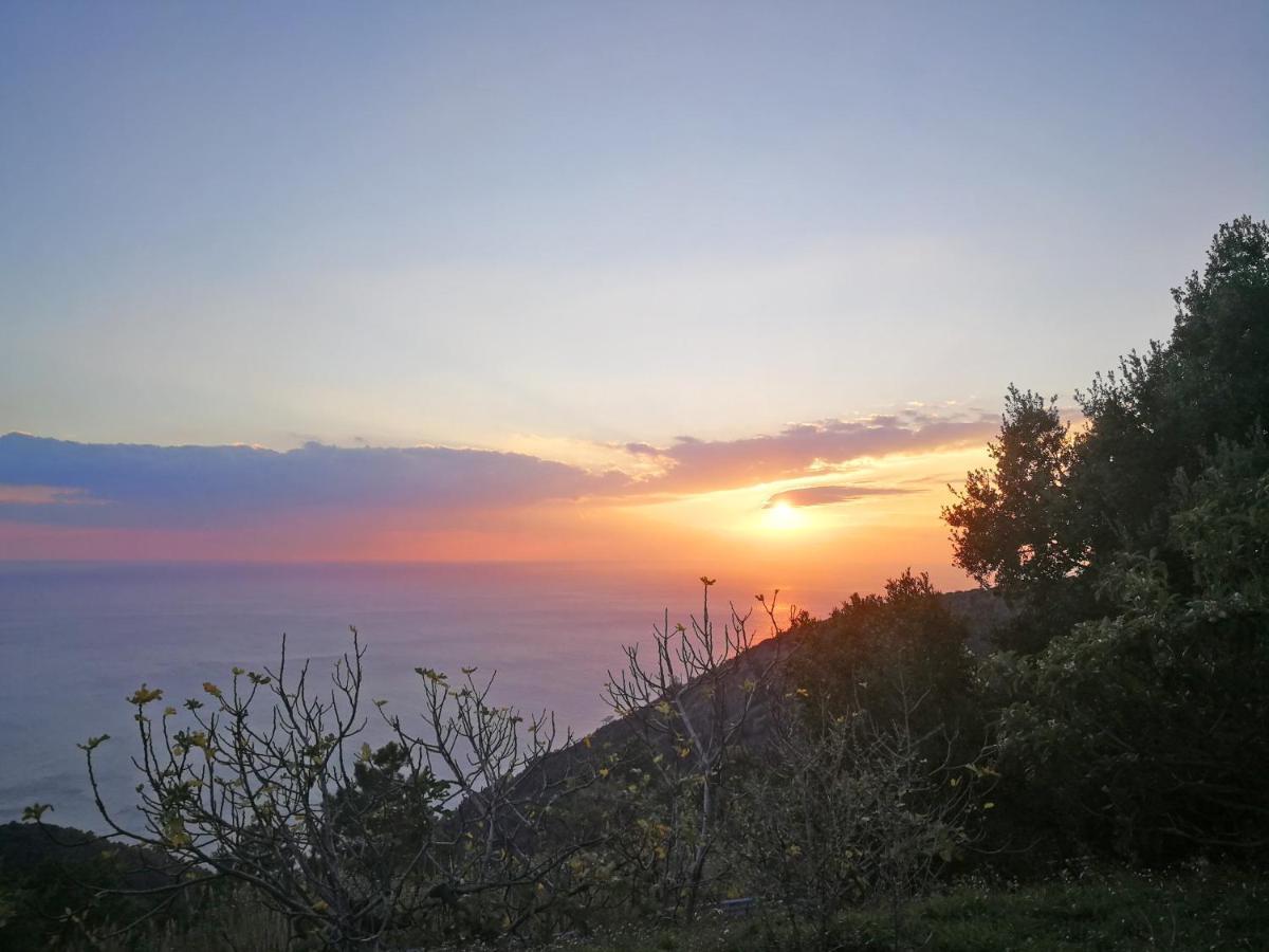 Cottage La Torre Del Pittore Bonassola Dış mekan fotoğraf