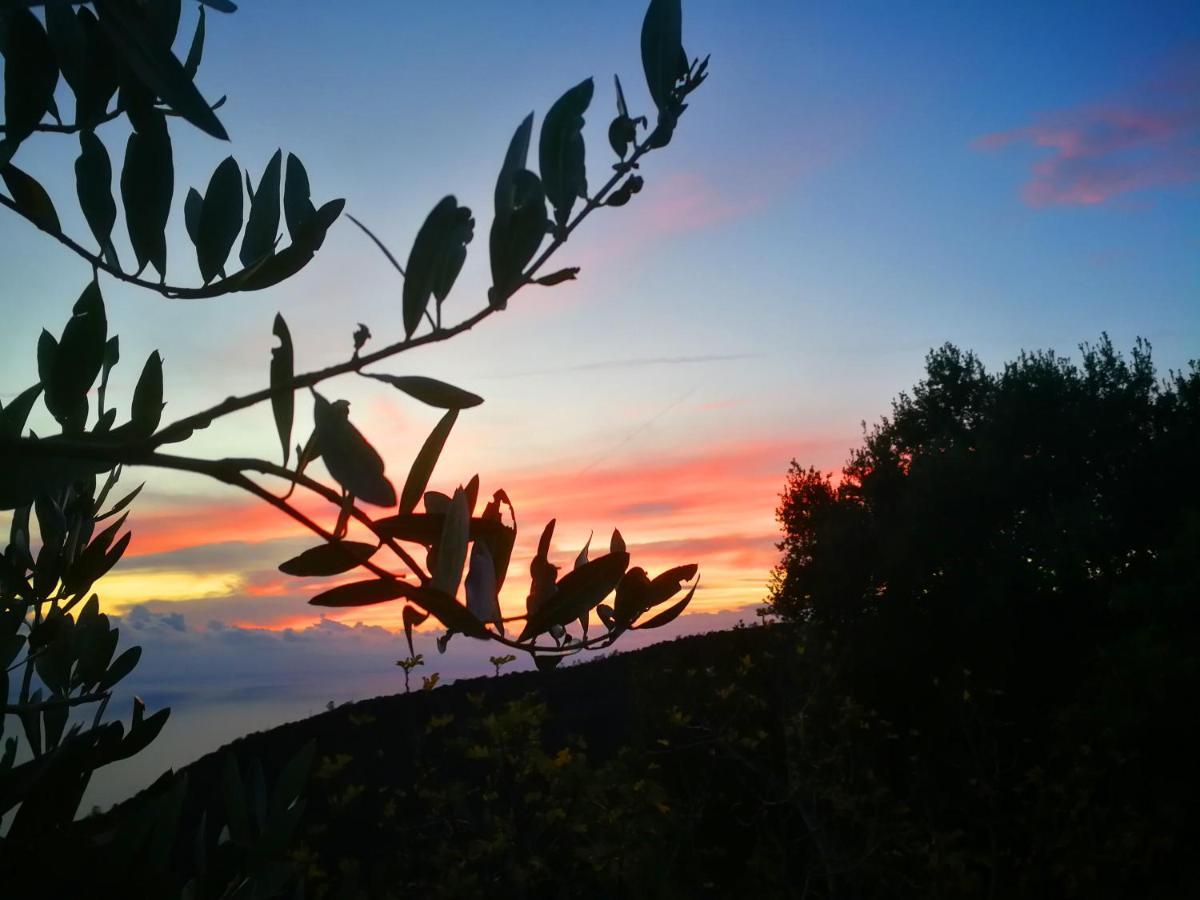 Cottage La Torre Del Pittore Bonassola Dış mekan fotoğraf